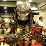 image clan_143-jpg