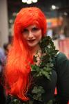 image poison-ivy-b-jpg
