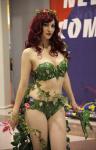 image sa-con14-jpg